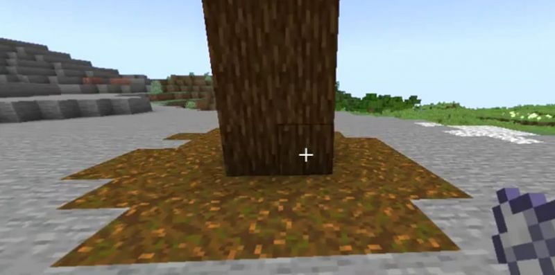 Podzol being created out of thin...stone... (Image via u/Pro6627 on Reddit)