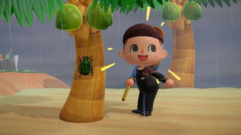 Catching a scarab beetle in Animal Crossing: New Horizons explained (Image via Nintendo Life)