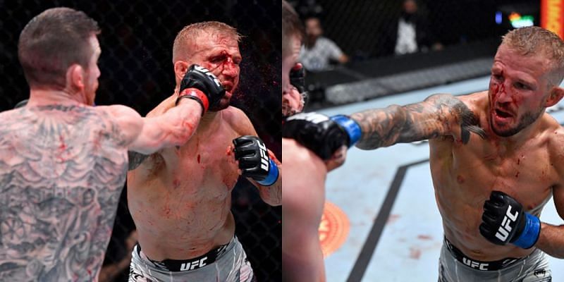 UFC Vegas 32: Dillashaw vs. Sandhagen (Image Credit: Jeff Bottari/Zuffa LLC)
