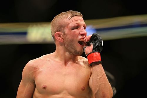 UFC Fight Night: Dillashaw v Cruz