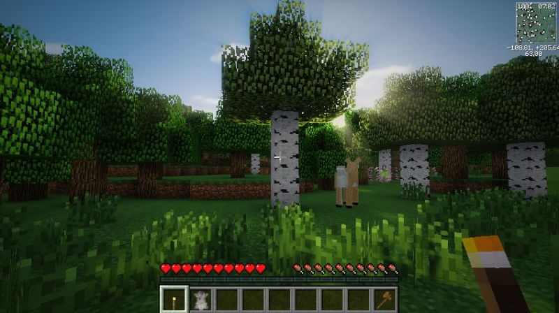 A beautiful shot of some trees with shaders applied (Image via minecraftores)