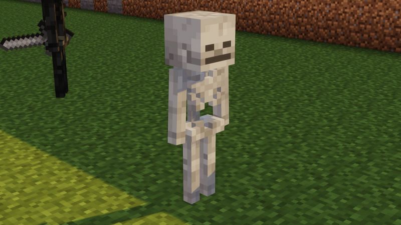 Skeleton Mob (Image via Minecraft)