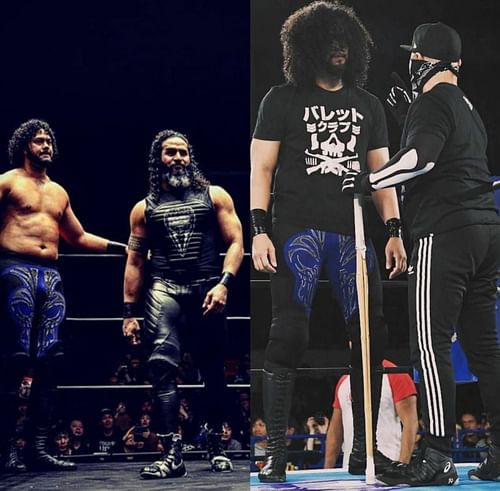 Bullet Club's Hikuleo was spotted on AEW Dynamite