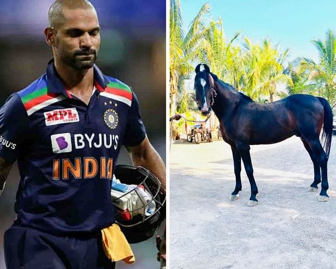 Shikhar Dhawan wishes to have horses like Ravindra Jadeja's