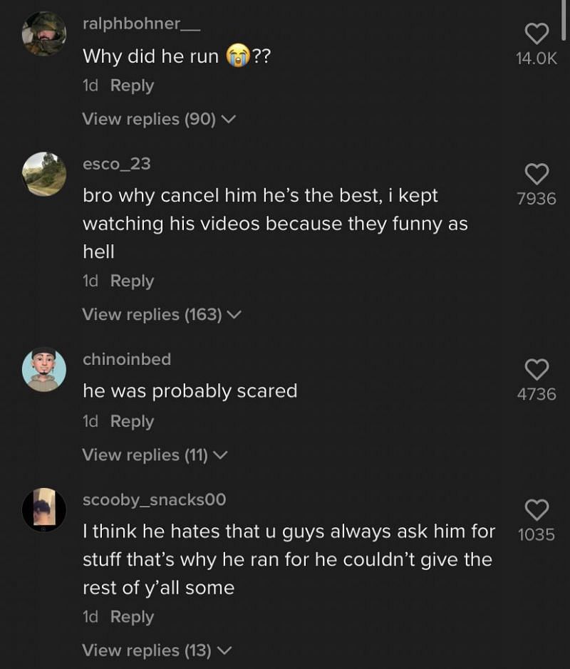 Fans take to the comments to praise David Dobrik 3/3 (Image via TikTok)