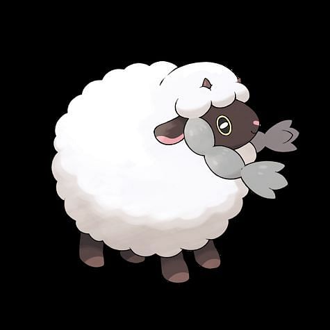 Wooloo Pokemon