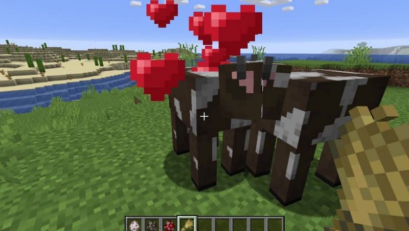 5 best food items that animal mobs eat in Minecraft