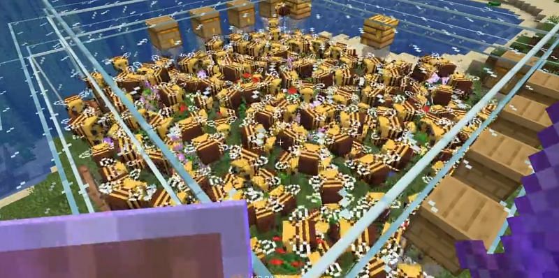 Minecraft Redditor Accidently Duplicates Their Bee Farm With A Glitch