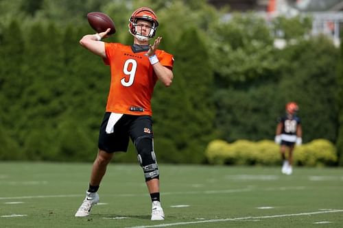 Cincinnati Bengals Training Camp