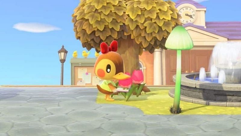 Molly first appeared in New Leaf (Image via GoNintendo)