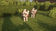 Players can not even pet tamed animals (Image via Minecraft)