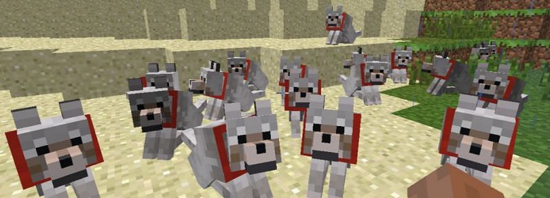 An absolutely massive wolf pack that will make quick work of a large force of mobs (Image via a deleted user on Reddit)