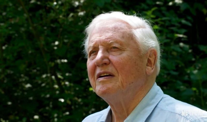 Sir David Frederick Attenborough (Image via Netflix)