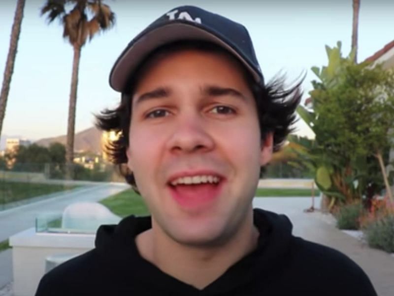 The pizza company is supposed to be a joint venture with his childhood friend Ilya Fedorovich, often seen in David Dobrik&#039;s vlogs (Image via YouTube)