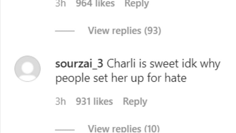screenshot from Instagram comments (4/10)