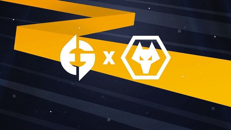 Evil Geniuses and Wolves announce partnership (Image via Wolves)