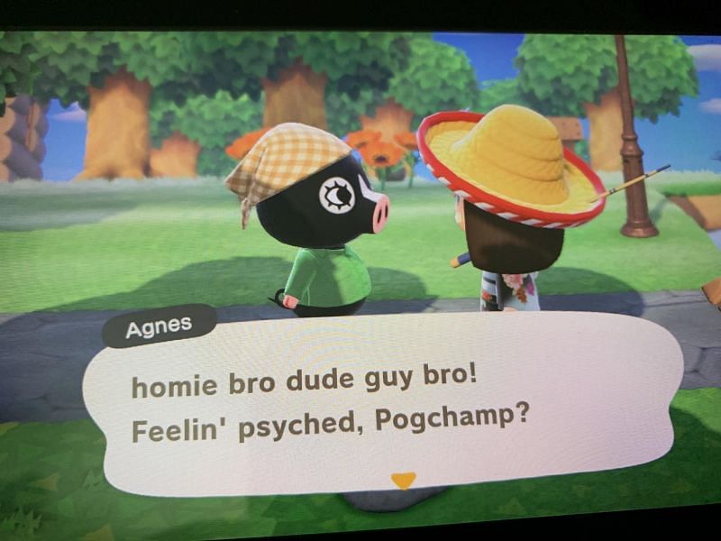 Greeting Ideas For Animal Crossing New Horizons