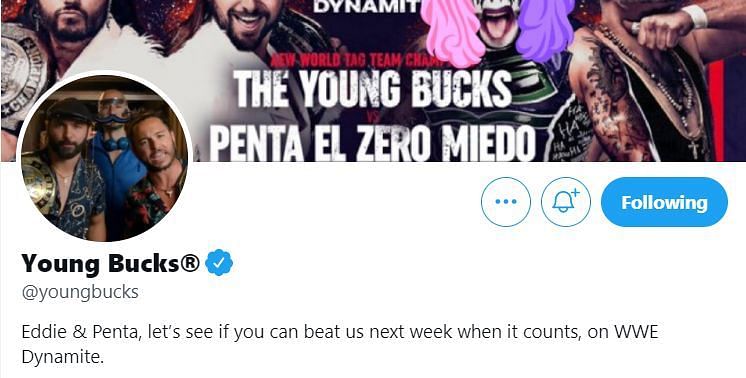 The Young Bucks mocked Jim Ross through their new bio!