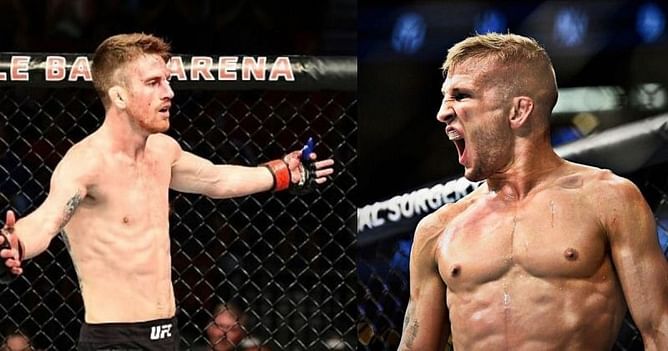 T.J. Dillashaw says UFC Vegas 32 main event against Cory Sandhagen is "the real title fight"