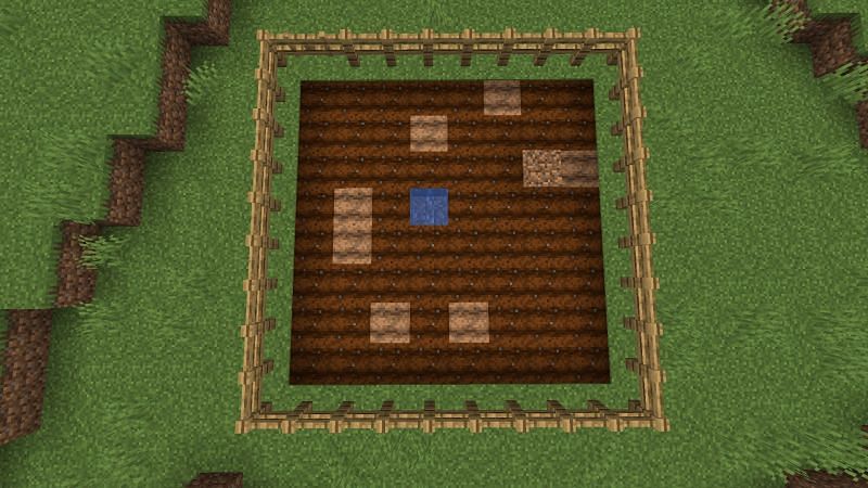 Farm on which most crops can be grown (Image via Minecraft)