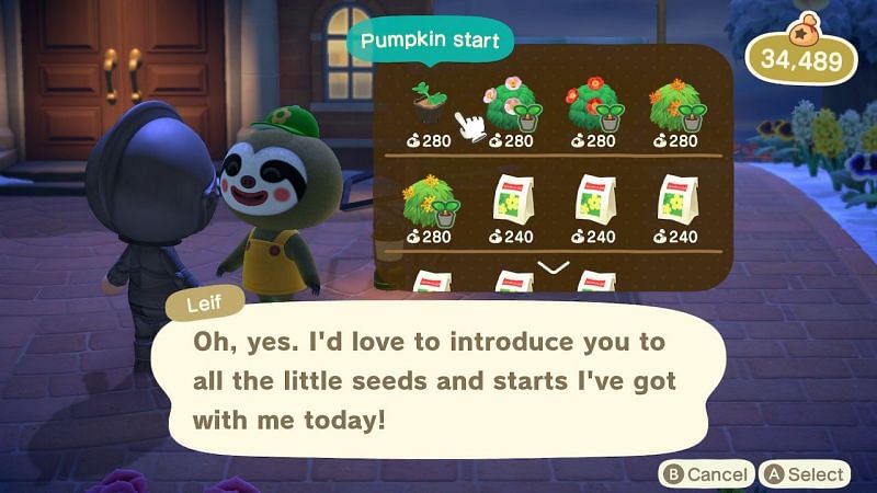 Players buying Pumpkin starts from Leif (Image via u/Balmung6 on Reddit)