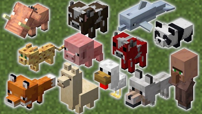 Check out the health of all mobs in Minecraft (Image via Farzy on YouTube)