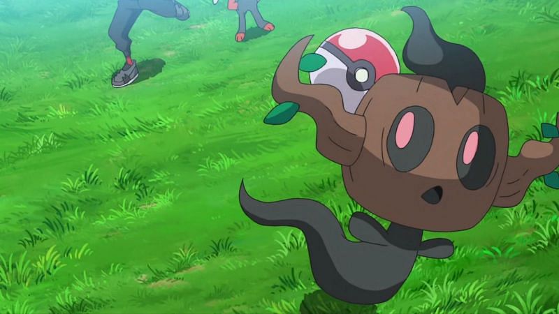 Phantump Pokémon Omega Ruby and Alpha Sapphire Evolution Pokémon