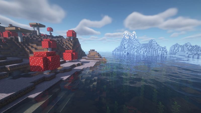 A frozen ocean biome next to mushoom fields (Image via Minecraft)