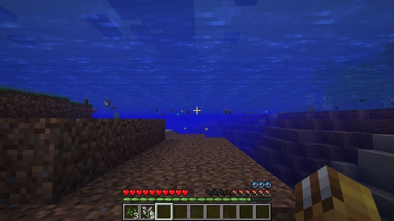 Be sure to not stay underwater for too long (Image via Minecraft)