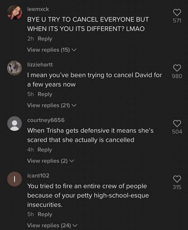 Trisha Paytas gets called out by fans 1/3 (Image via TikTok)