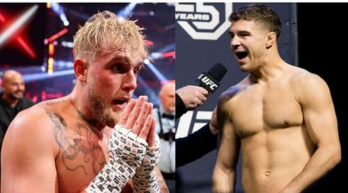 Al Iaquinta doesn't want Jake Paul to quit boxing just yet