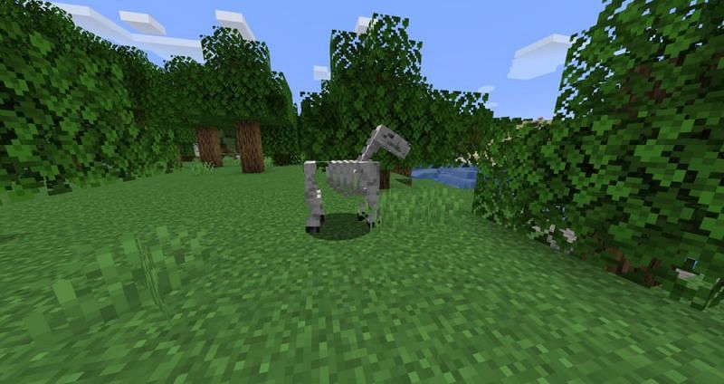 Imagen vía Minecraft wiki