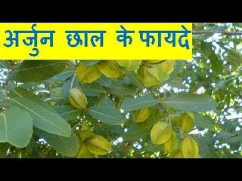 फोटो- healthdear