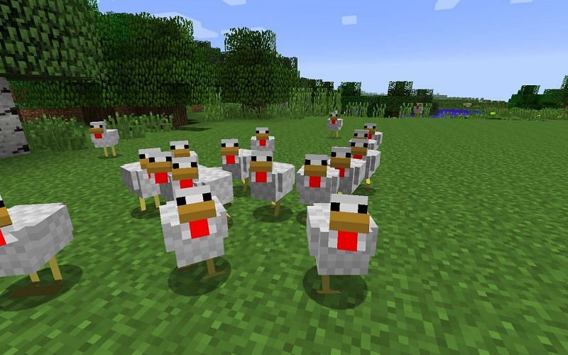 Minecraft chickens (Image via CurseForge)