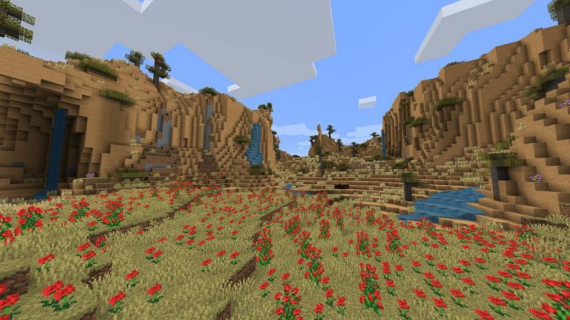 Lush desert biome (Image via Minecraft)
