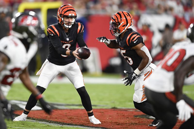 Cincinnati Bengals vs Tampa Bay Buccaneers