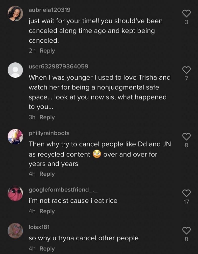 Trisha Paytas gets called out by fans 2/3 (Image via TikTok)