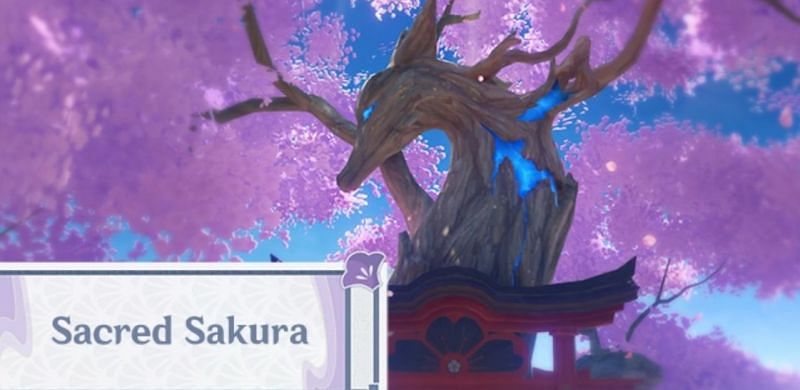 The Sacred Sakura tree (Image via miHoYo)