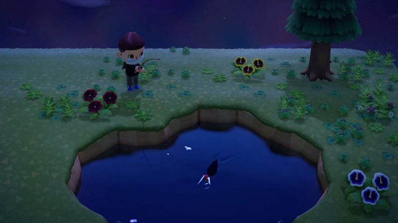 Catching the golden trout. (Image via Nintendo)