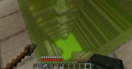 A slime chunk (Image via Minecraft)