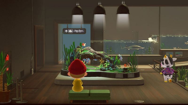 Animal Crossing players can finally find villagers in the museum (Image via Nintendo)