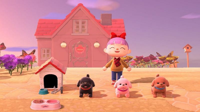 Animal Crossing allows people to recreate things they want from the real world, including having pets. Image via Nintendo
