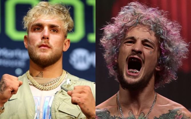 "I love how much s**t Jake talks" - Sean O'Malley explains why he likes to watch Logan and Jake Paul fight