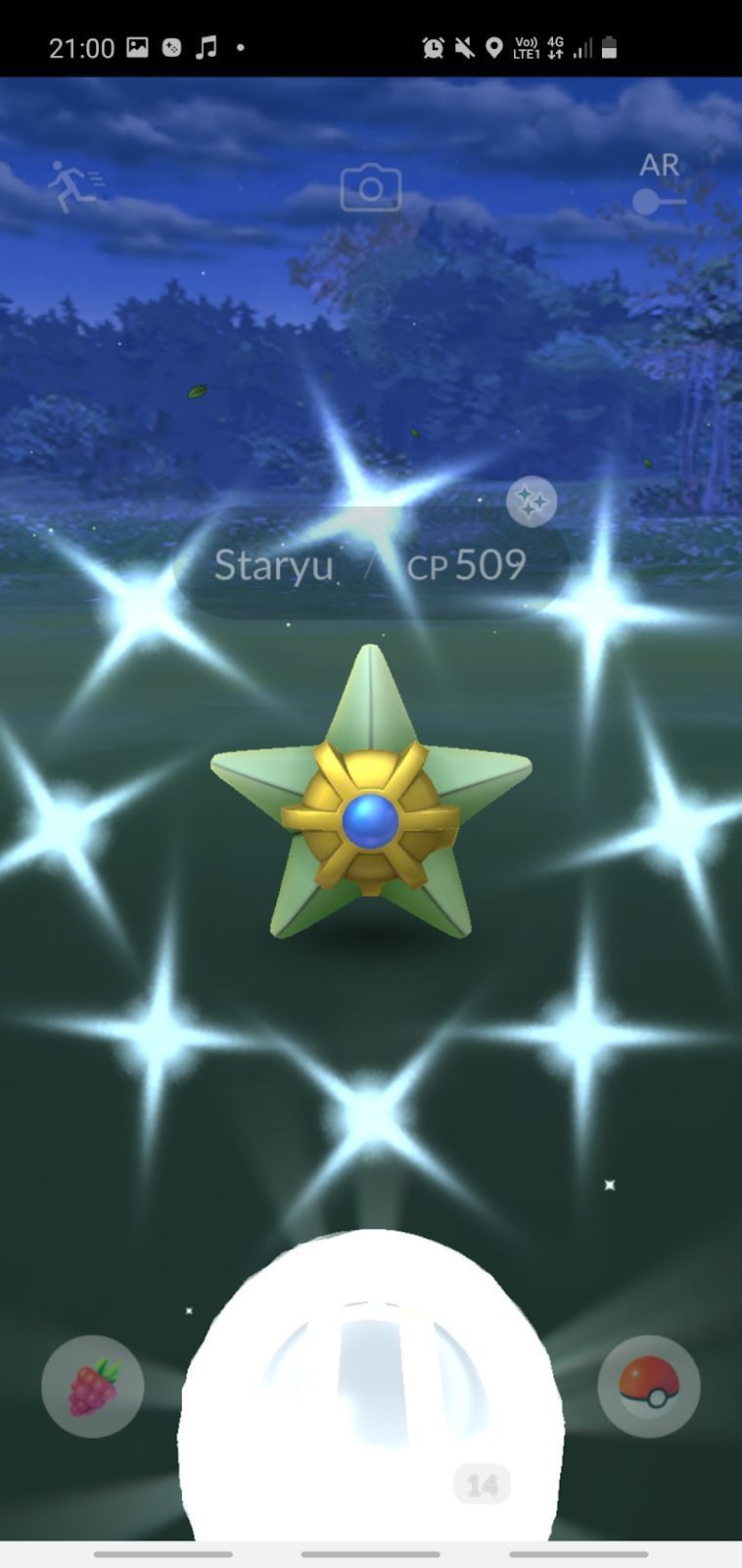 Staryu in Pokemon Go