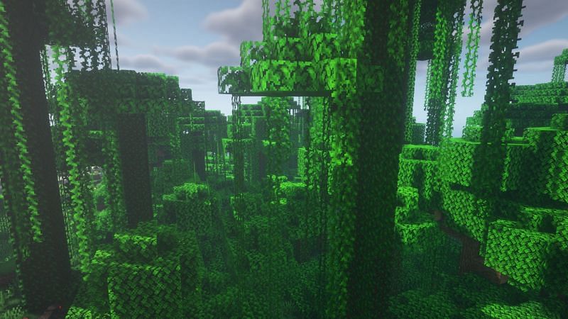A jungle biome (Image via Minecraft)