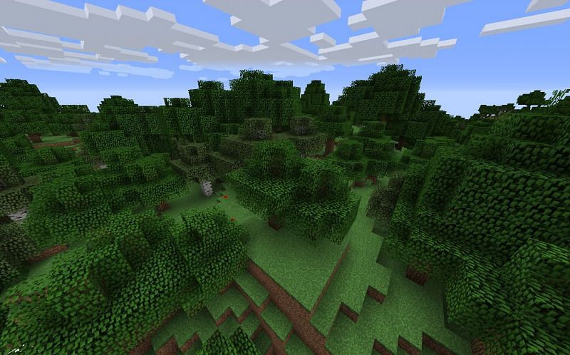 A forest biome (Image via minecraft.wikia)