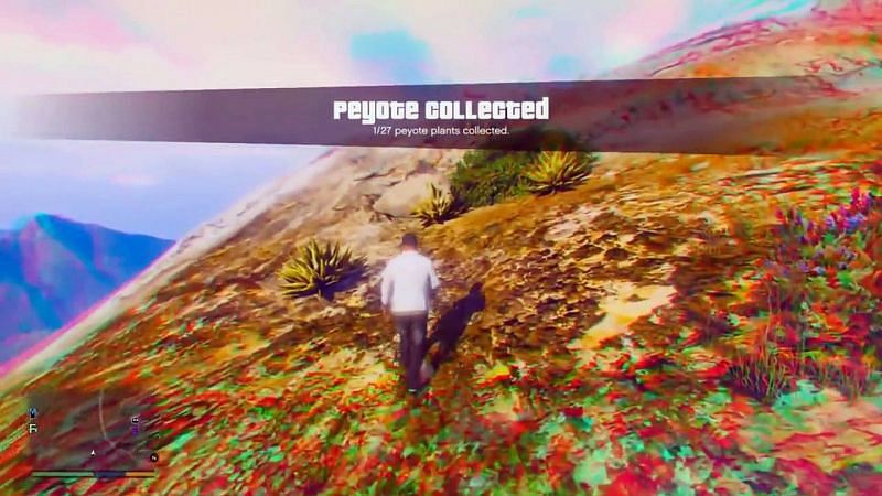 GTA 5&#039;s Peyote Plants have the power to temporarily turn the protagonist into animals (Image via gamer x, Dailymotion)