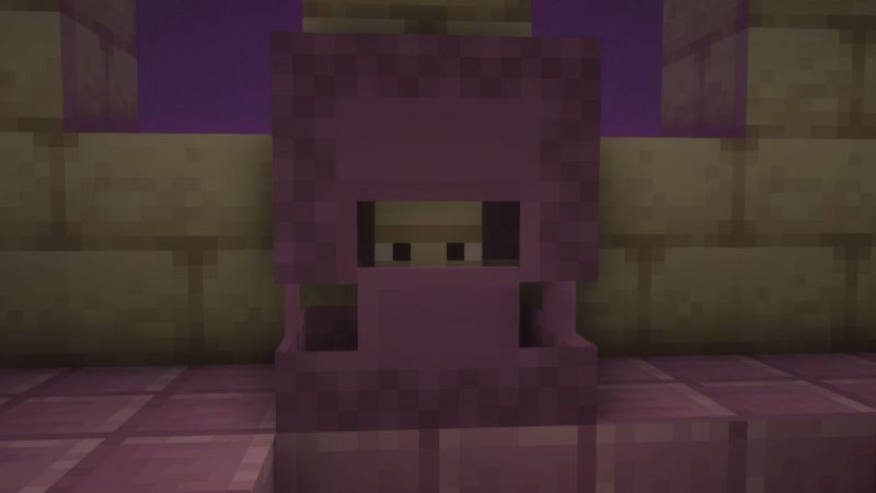 Shulkers can be farmed in Minecraft 1.17 (Image via Minecraft)