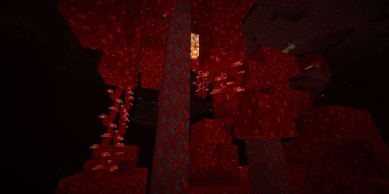 Some of the plant-like blocks in a crimson forest  (Image via Mojang)