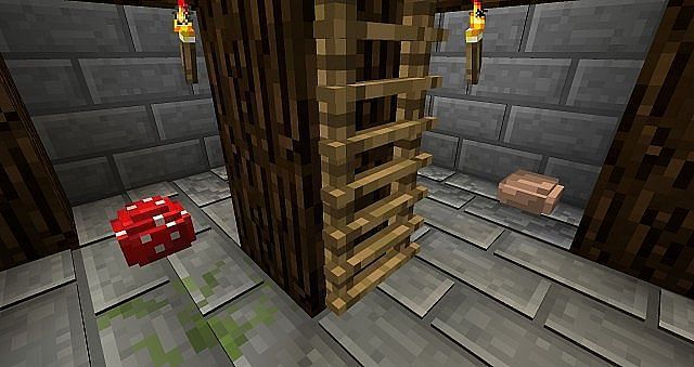 3D ladders (Image via resourcepack.net)